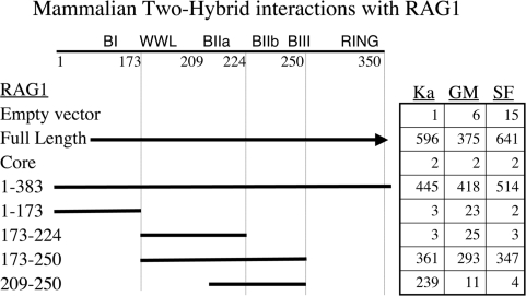 Figure 4.