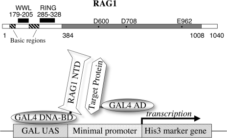 Figure 1.