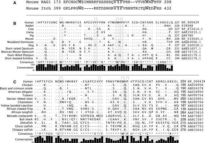 Figure 6.