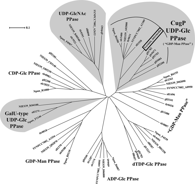 FIG 1