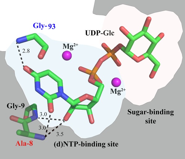 FIG 4