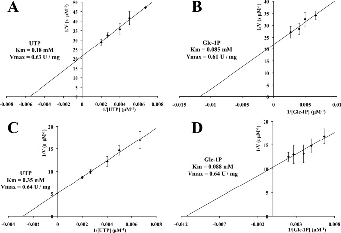 FIG 3