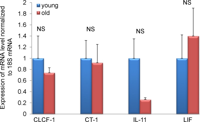 Figure 7.