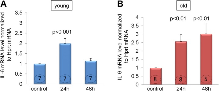 Figure 5.