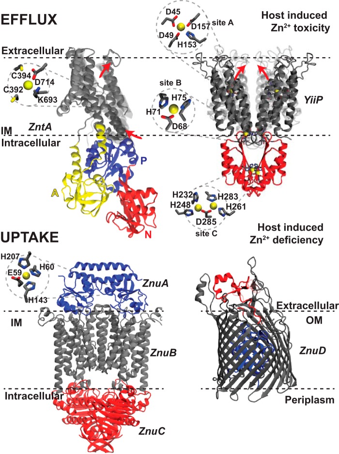 FIGURE 3.