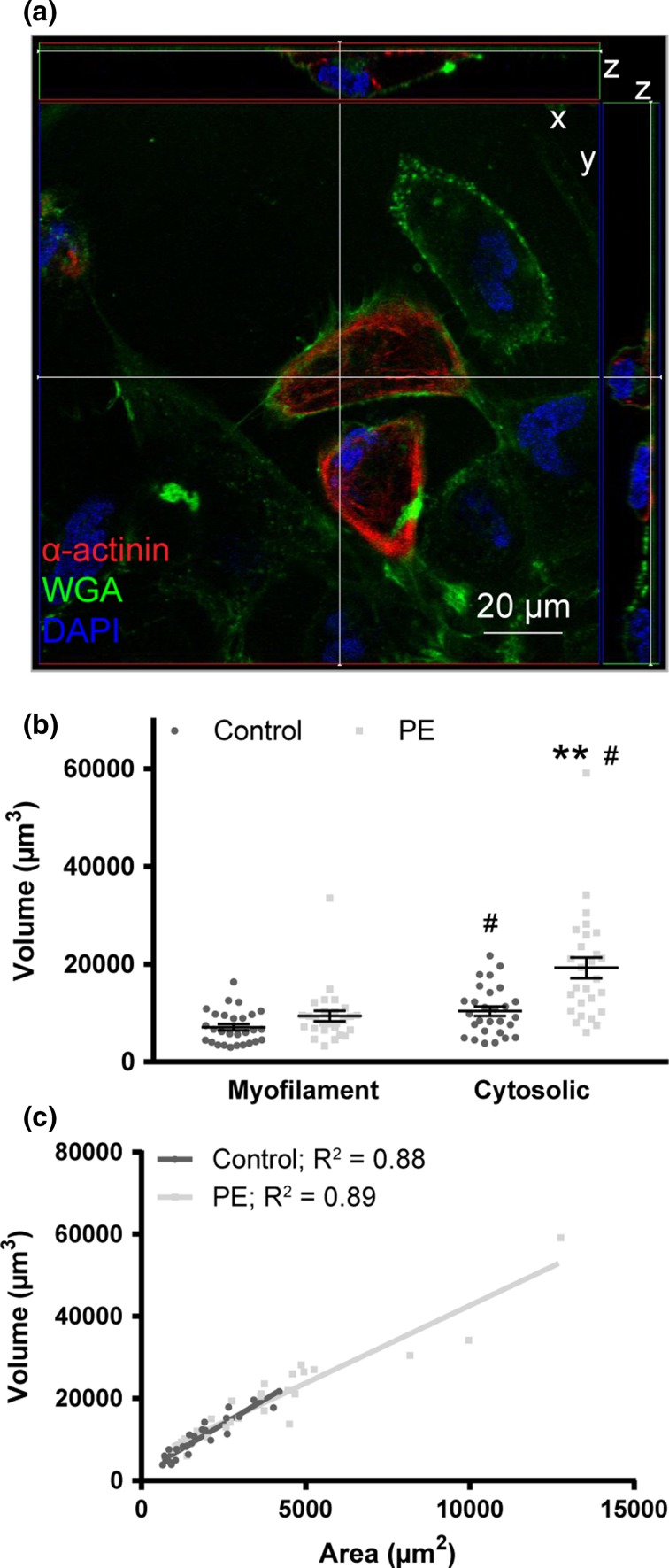 Figure 4