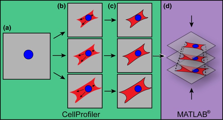 Figure 1