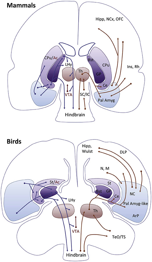 Figure 6.