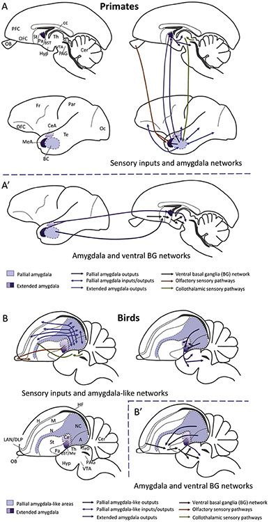 Figure 5.