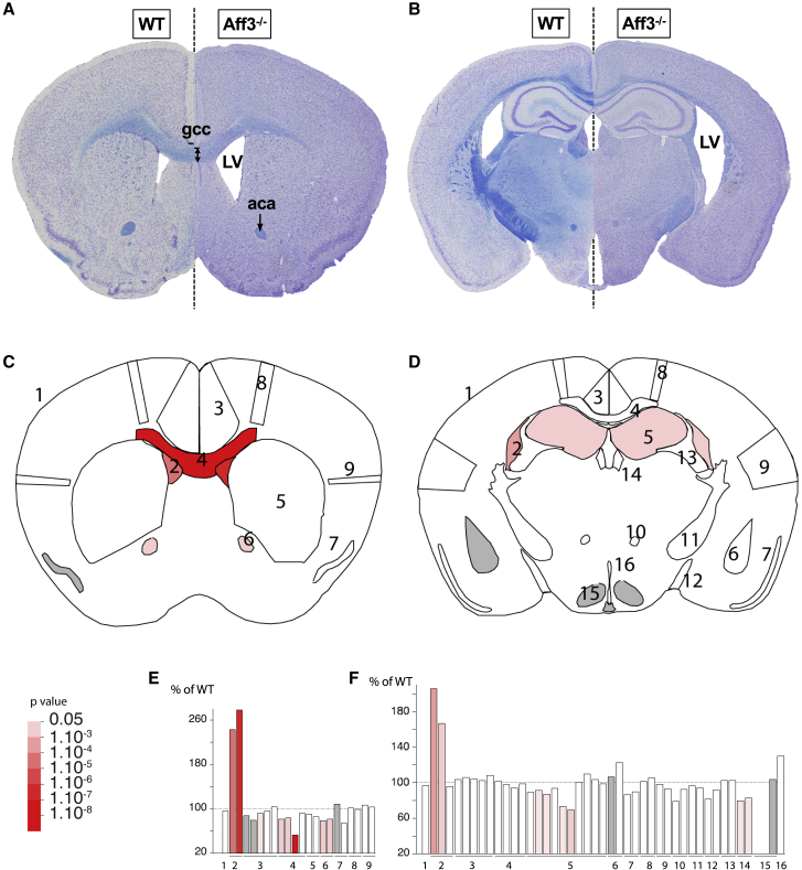 Figure 5