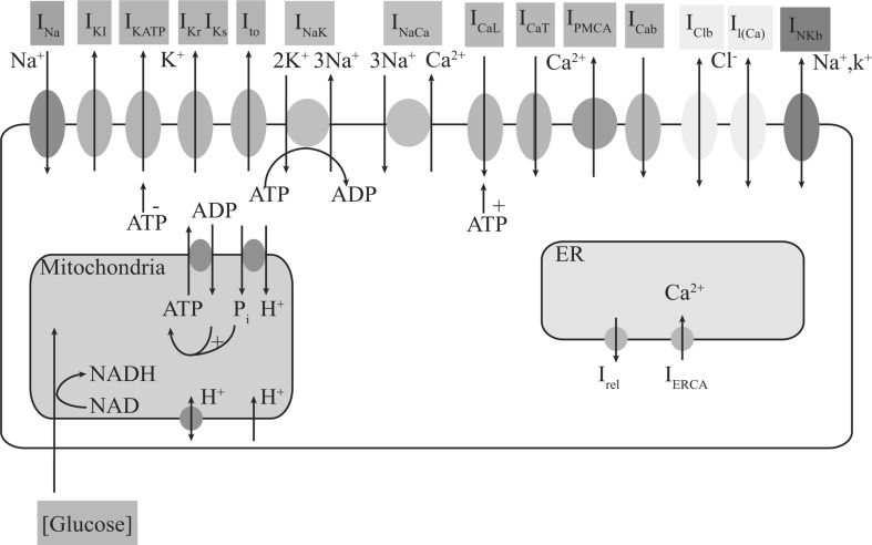 Fig. 1