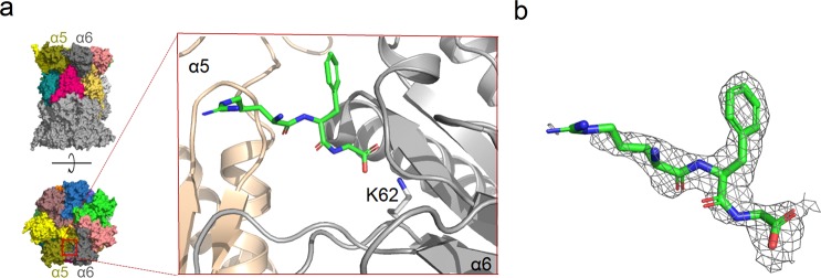 Figure 9