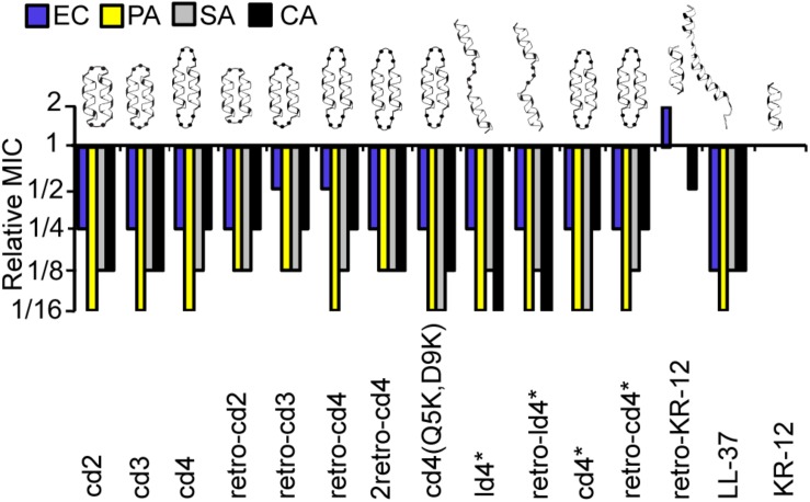 FIGURE 2