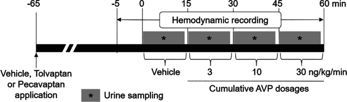 EJHF-2001-FIG-0002-b