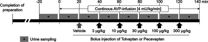 EJHF-2001-FIG-0001-b