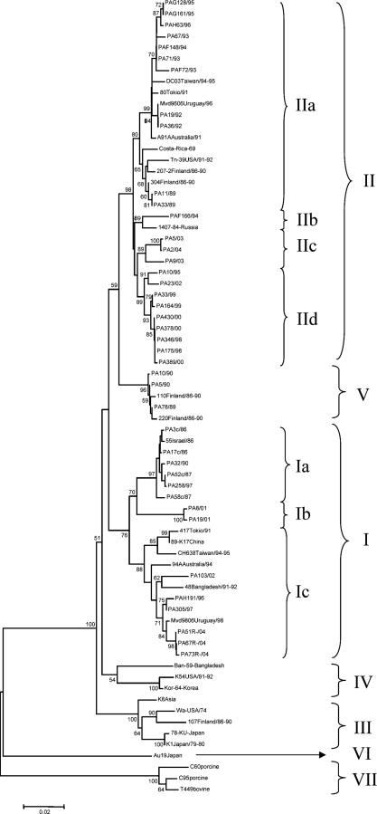 FIG. 1.