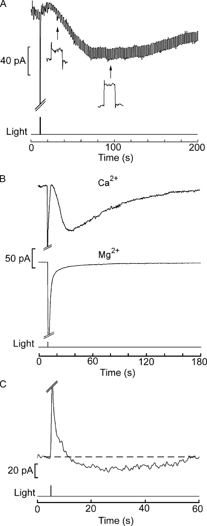 Figure 7.