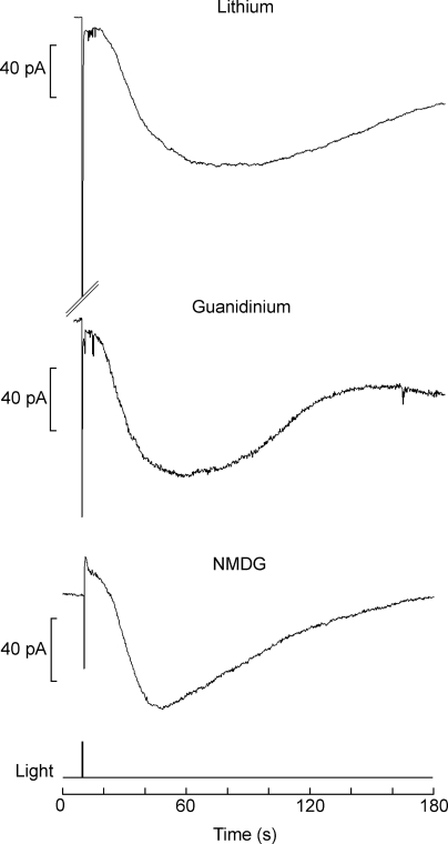 Figure 5.