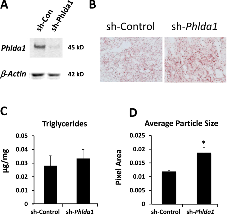 Figure 5