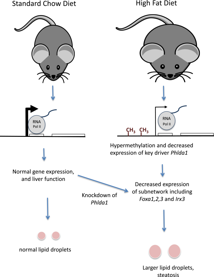 Figure 6