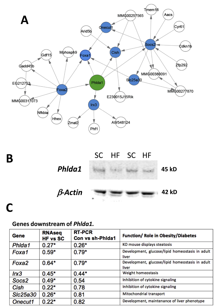 Figure 4