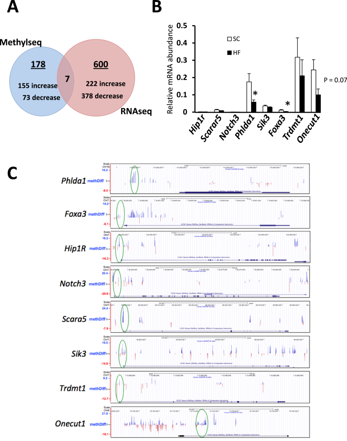 Figure 1