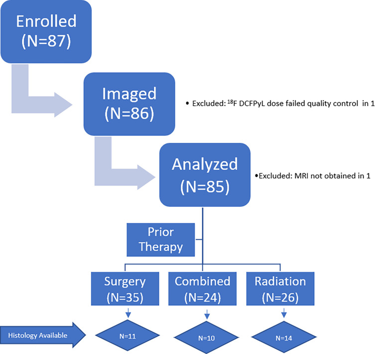 Participant flowchart. 18F-DCFPyL = 2-(3-{1-carboxy-5-[(6-[18F]fluoro-pyridine 3-carbonyl)-amino]-pentyl}-ureido)-pentanedioic acid.