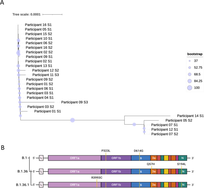 Fig. 3