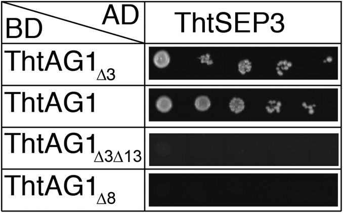 Fig. 5.