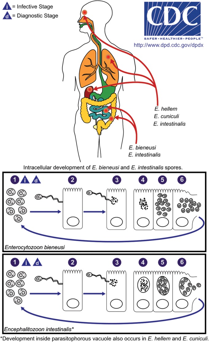 FIG 1