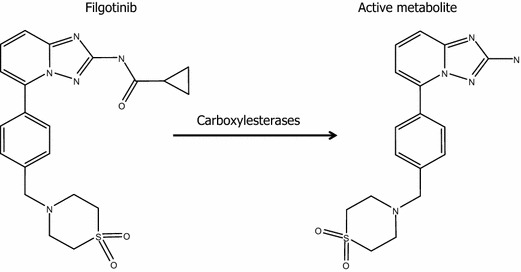 Fig. 1