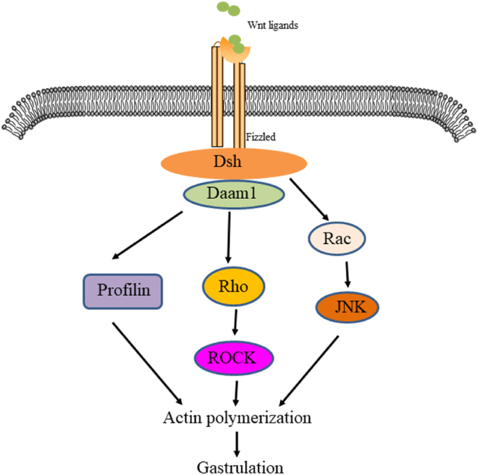 Fig. 3