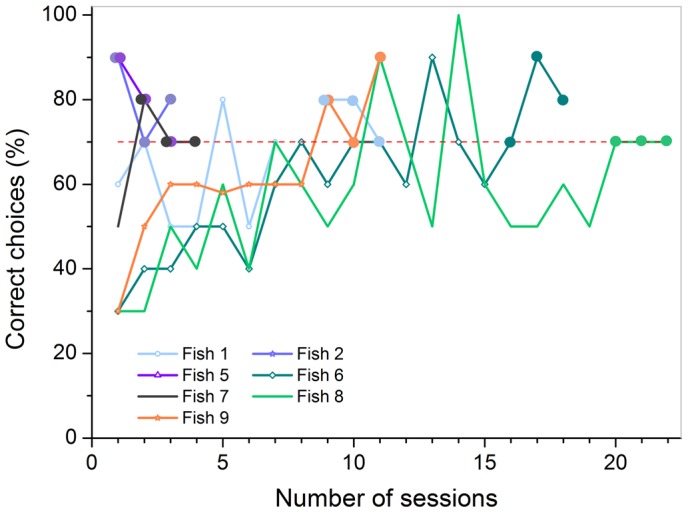 Figure 13