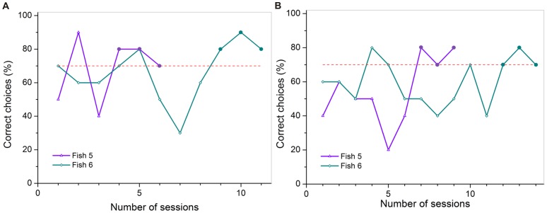 Figure 11