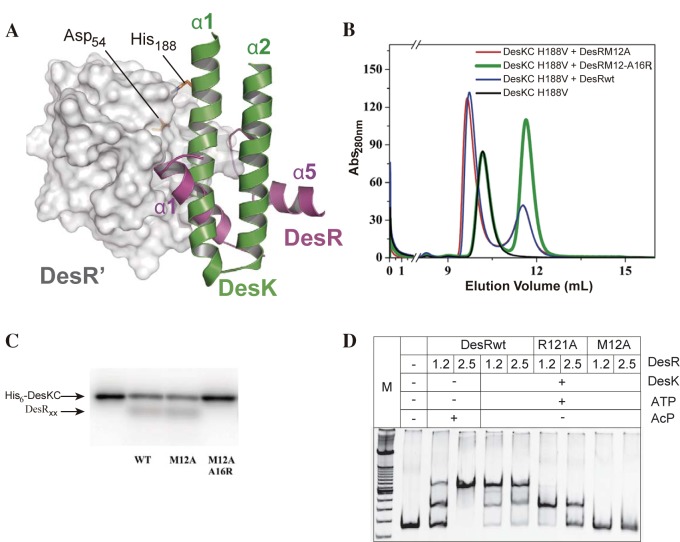 FIG 4 