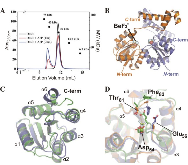 FIG 1 