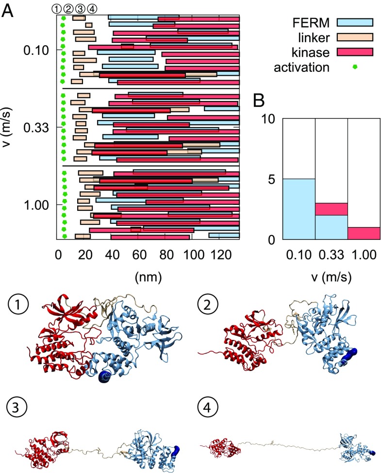 Fig. 6.