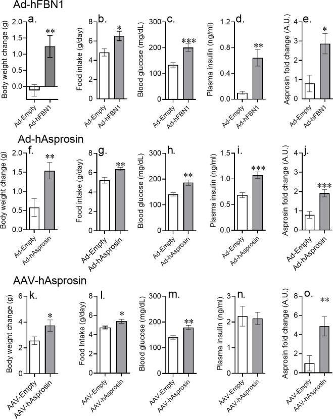 Figure 3—figure supplement 1.