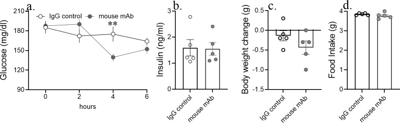 Figure 1—figure supplement 3.