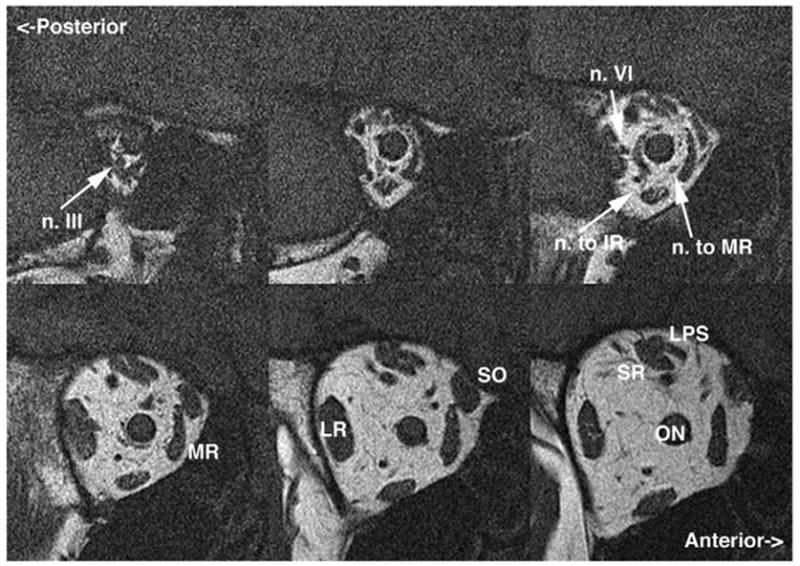 FIG 5