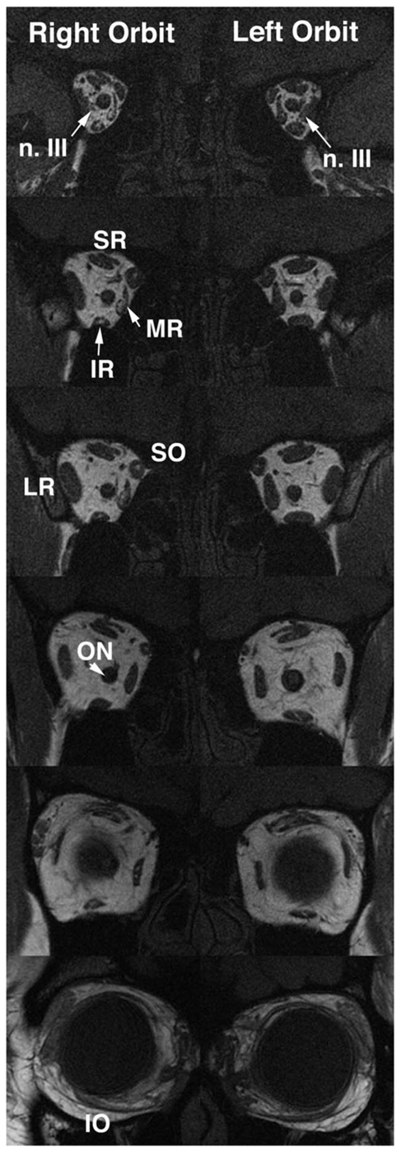 FIG 8