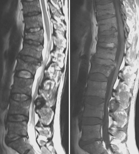 Fig. 7