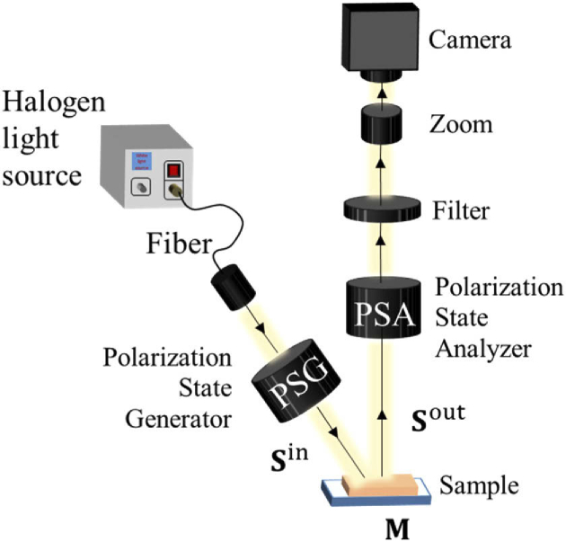 Fig. 1.