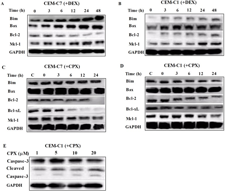 Fig 5