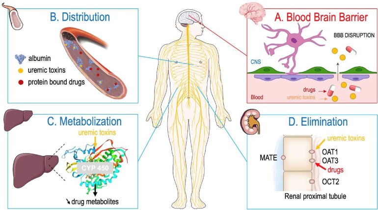 Figure 1: