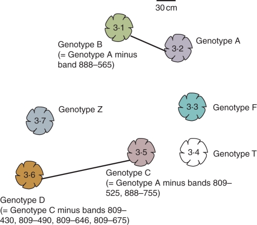 Fig. 3.