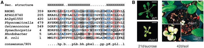 Figure 2.
