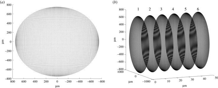 Figure 3. 