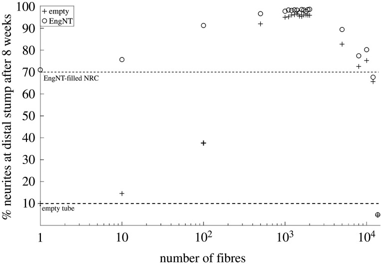 Figure 16. 