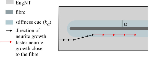 Figure 8. 